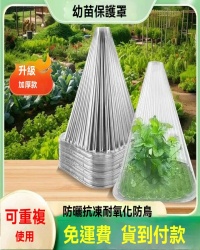 幼苗防風罩