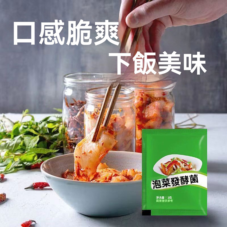 泡菜發酵乳酸菌